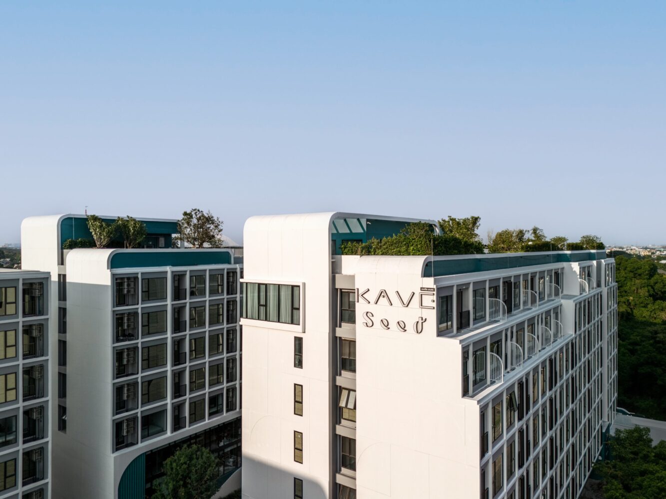 Kave Seed Kaset